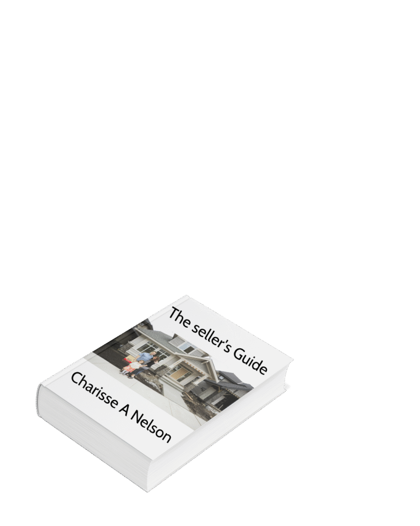 sellers guide ebook